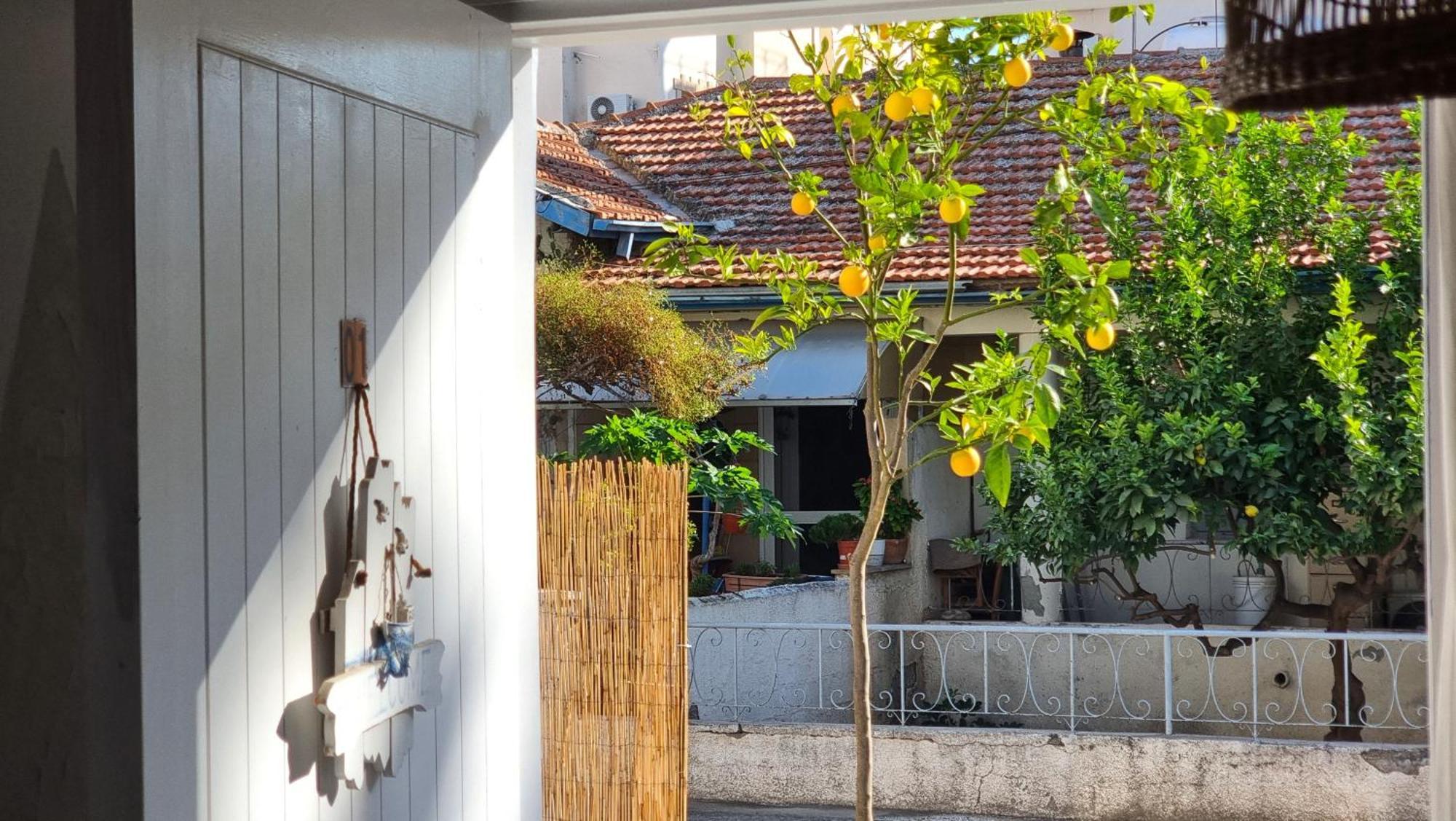 Boho Greek Haven With Orange Grove Views Near *
